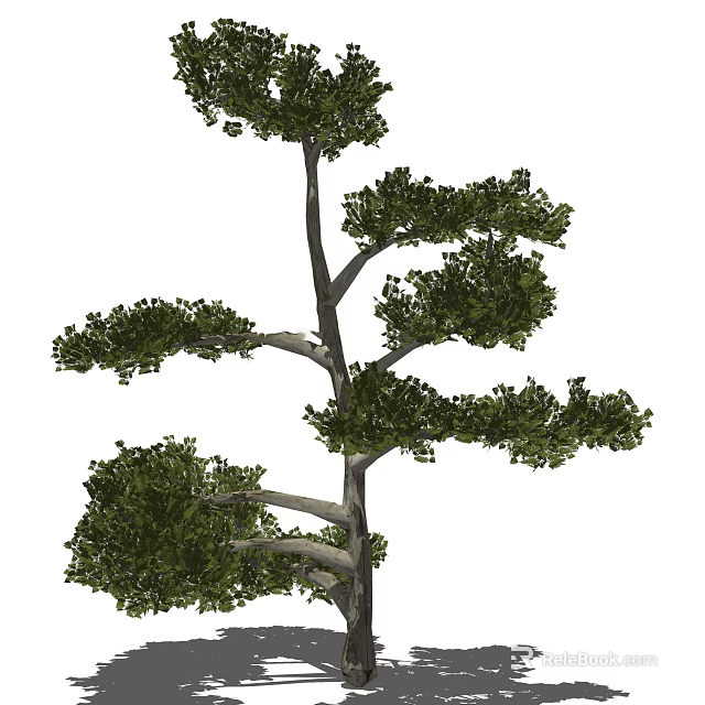 Lush Green Arbor With Multi Branched Trunk And Dense Foliage For Landscaping 3d model 