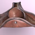 Modern Hat Pirate Hat 3d model