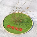 Foxtail Dry Grass Growing On Circular Green Base Over Stone Pavement Ground 3d model