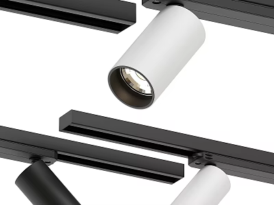 Modern Track Mounted Downlights And Spotlights With Black And White Design 3d model