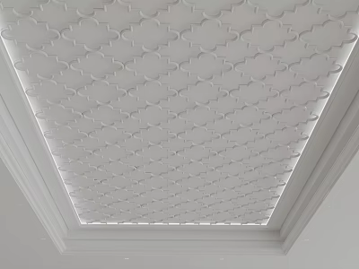 Modern Ceiling Design With Intricate Geometric Pattern And Soft Recessed Lighting 3d model