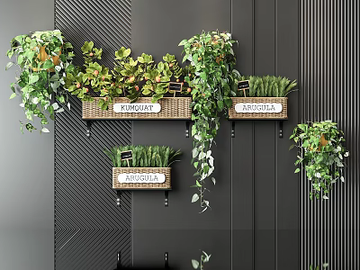 Hanging Potted Plants In Wall Mounted Baskets With Trailing Greenery On Dark Striped Wall 3d model