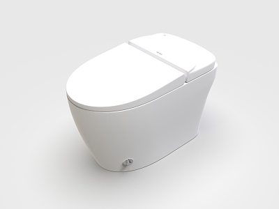 Toilet model