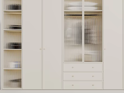 Modern White Wardrobe Interior Design With Glass Doors Drawers And Shelves 3d model