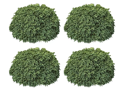 modern shrubs flowers and leaves 3d model modern shrubs flowers and leaves 3d model