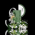 Stylish Floral Arrangement With Green Plants And White Flowers Decoration Design