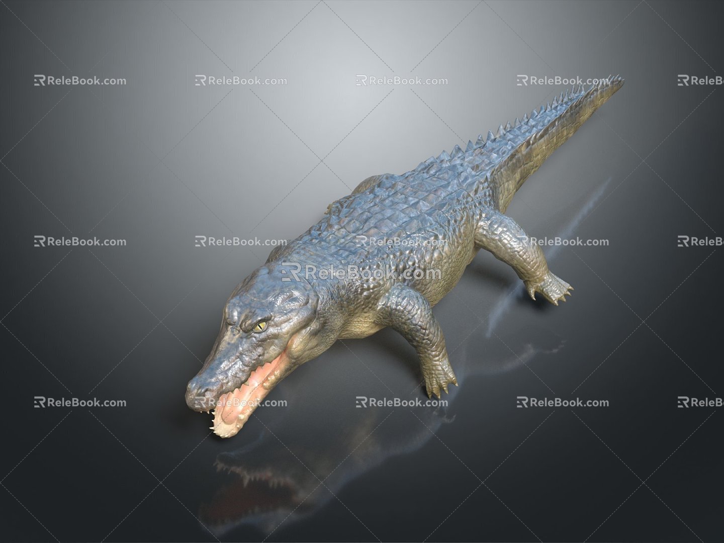 Modern Crocodile Alligator Nile Crocodile carnivore 3d model