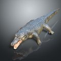 Modern Crocodile Alligator Nile Crocodile carnivore 3d model