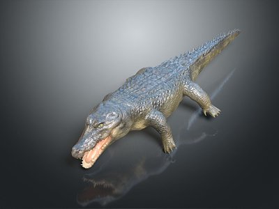 Modern Crocodile Alligator Nile Crocodile carnivore 3d model