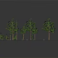 Neatly Arranged Landscape Tree Models On Black Platform With Various Sizes