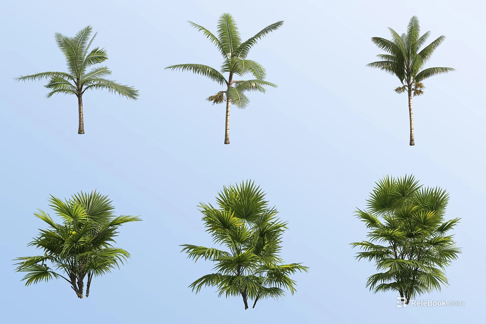 Various Types of Lush Green Leafy Shrubs Displayed Against Light Blue Background 3d model 