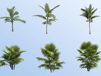 Various Types of Lush Green Leafy Shrubs Displayed Against Light Blue Background 3d model