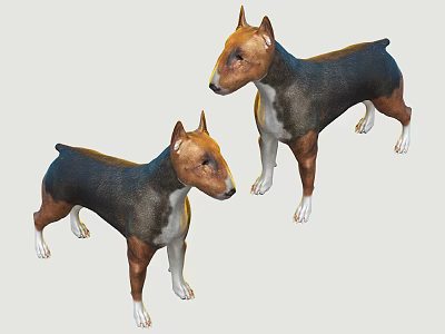 Animal Dog 3d model Animal Dog 3d model