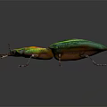Colorful Iridescent Beetle With Shiny Green Blue Shell And Prominent Mandibles On Black Background