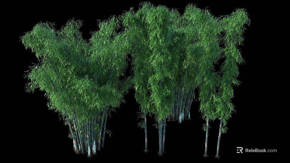 Lush Green Bamboo Plants With Tall Stems And Fresh Leaves In Natural Scene 3d model 