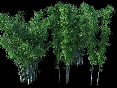 Lush Green Bamboo Plants With Tall Stems And Fresh Leaves In Natural Scene 3d model