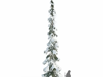 Tall Snow Covered Tree With Person Silhouette In Winter Landscape 3d model