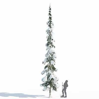 Tall Snow Covered Tree With Person Silhouette In Winter Landscape 3d model