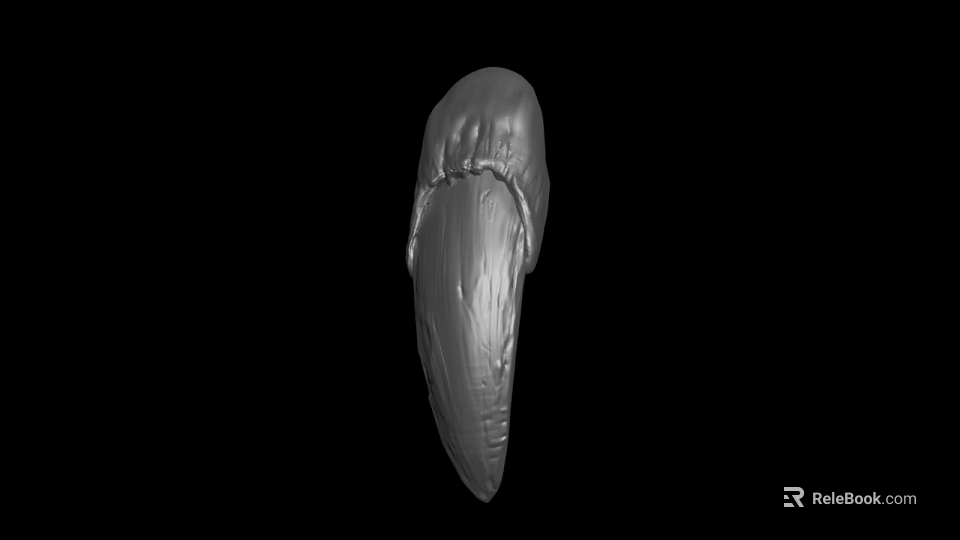3D Model of Textured Shell Like Object on Black Background with Silver Gray Finish 3d model 
