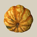 Fresh Healthy Pumpkin Vegetable With Vibrant Orange Yellow Color And Green Spots Natural Texture