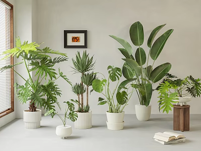 Indoor Potted Plants With Various Green Leafy Types In White Ceramic Pots For Home Decor 3d model