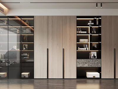 Modern Bookcase Interior Design With Wooden Glass Doors And Built in Lighting Shelves Books Decorations 3d model