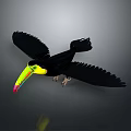 Toucan With Colorful Yellow Green Red Beak And Black Feathers Spreading Wings