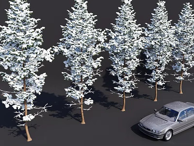 Snow Covered Trees In Outdoor View With Silver Car Parked Nearby 3d model