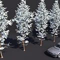 Snow Covered Trees In Outdoor View With Silver Car Parked Nearby