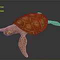 Orange Brown Turtle With Patterned Shell And Detailed Flippers In Realistic Design