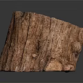 Plant Based Natural Tree Stump With Rustic Wood Texture For Home Decor