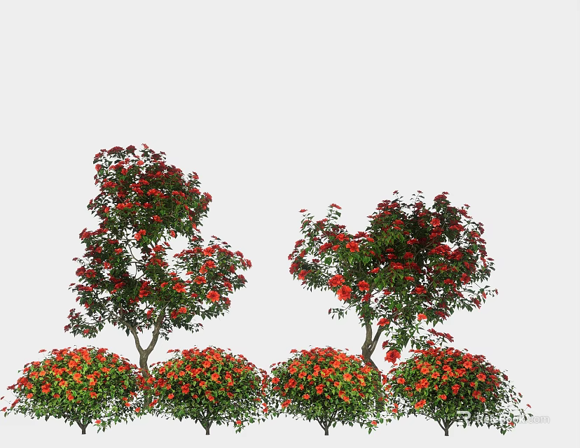 Beautiful Garden Landscape Design With Red Flowering Trees And Colorful Shrubs 3d model 
