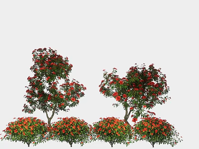 Beautiful Garden Landscape Design With Red Flowering Trees And Colorful Shrubs 3d model