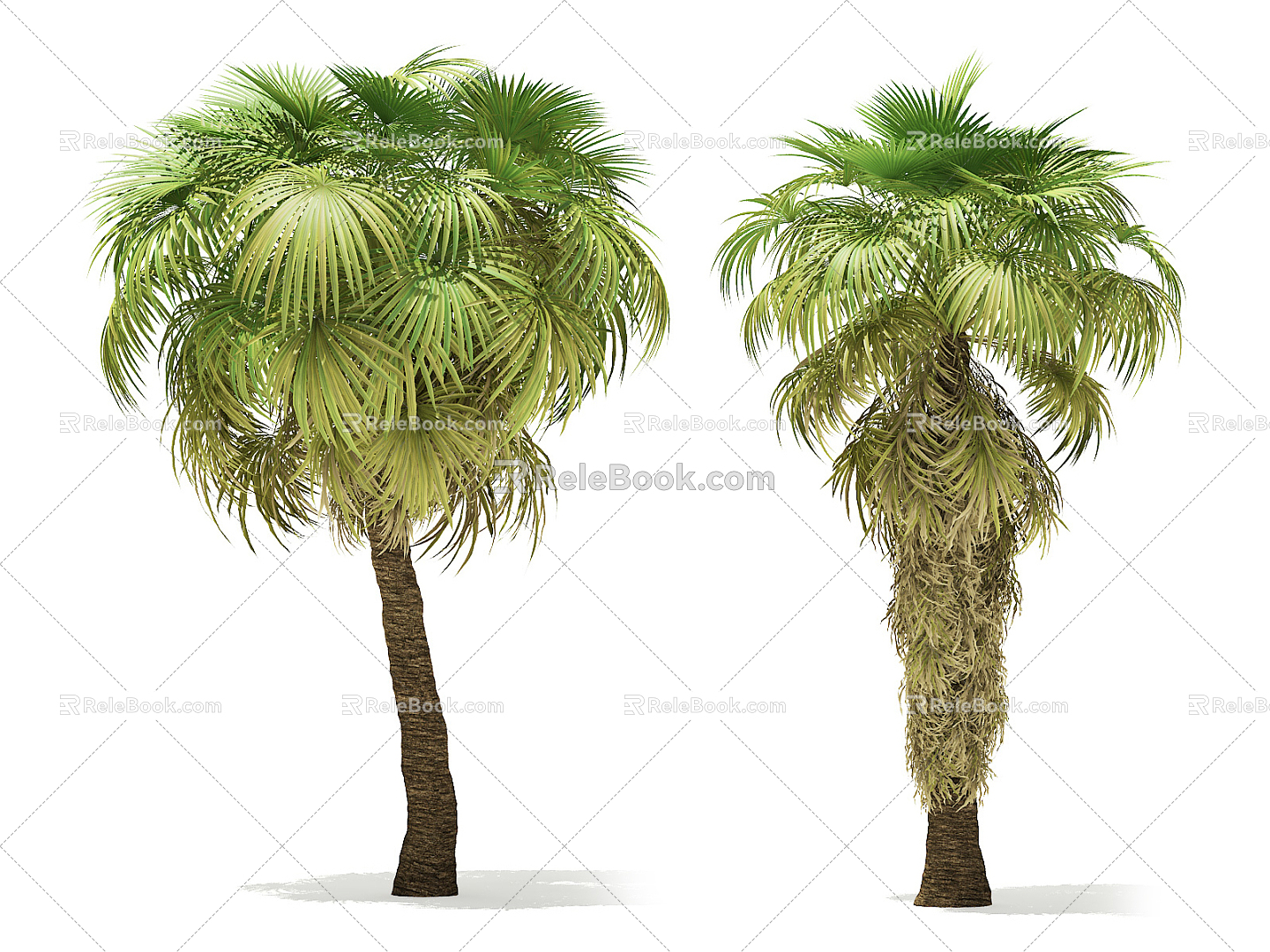 Modern Palm Tree 3d model