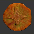 Vibrant Multicolored Plant Featuring Mushroom Shaped Cap and Colorful Stalk in Orange Yellow Green Tones