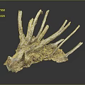 Wood Stone Sculpture With Natural Root Design And Decorative Texture For Home Art Decor