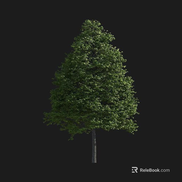 Lush Deciduous Arbor With Thick Green Foliage And Straight Trunk For Natural Landscaping Design 3d model 