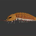 Orange Segmented Body Shiny Carapace Red Antennae Decorative Household Toy Model