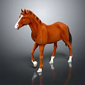 Brown horse with white face and legs standing on gray background showing reflection on surface