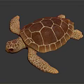 Brown and Orange Sea Turtle Displaying Textured Shell Patterned Flippers and Detailed Limbs 3d model