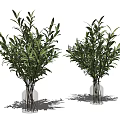 Two Transparent Glass Vases With Green Leafy Branches For Home Decorative
