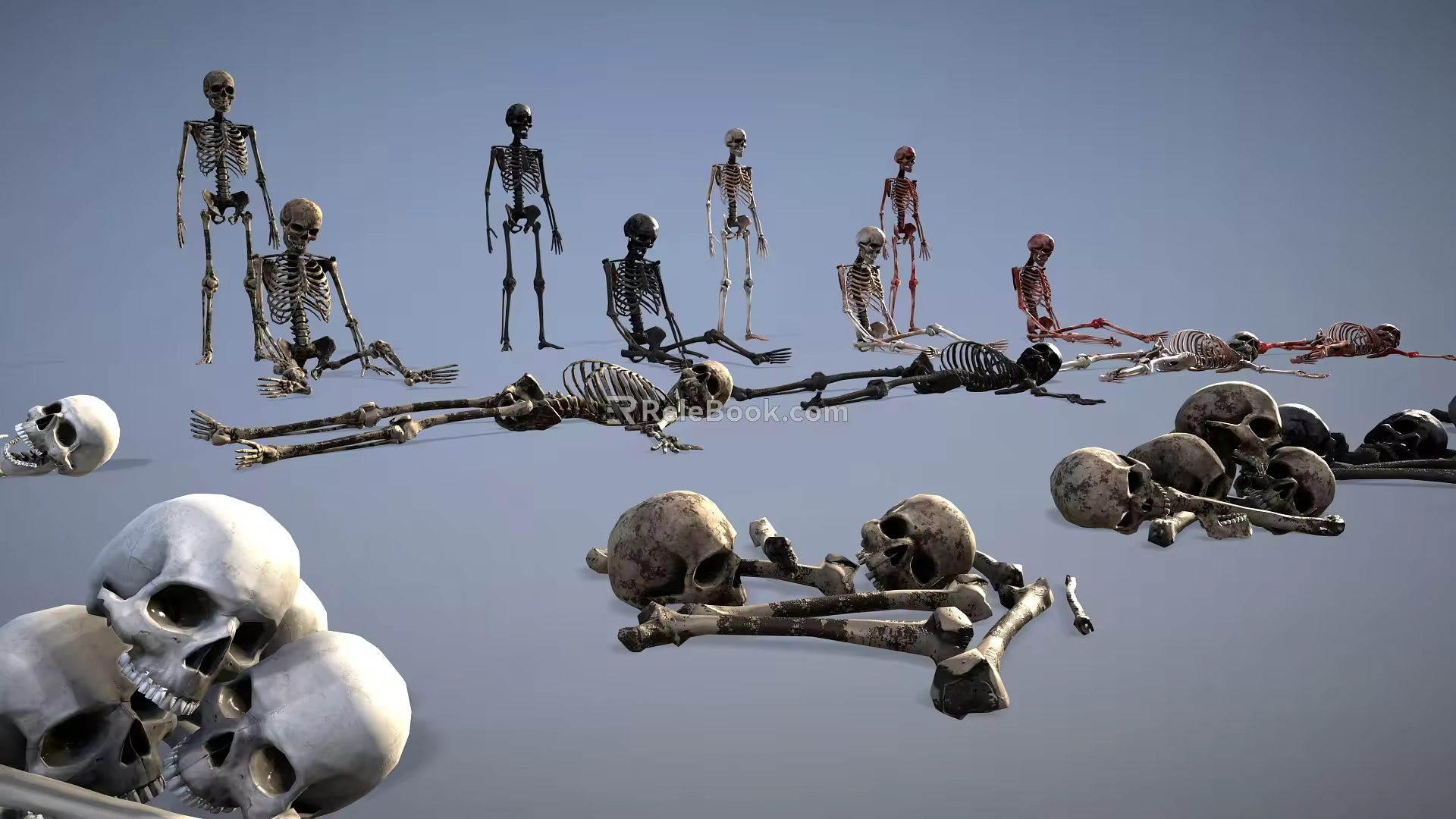 human skeleton suit bones human skeleton 3d model