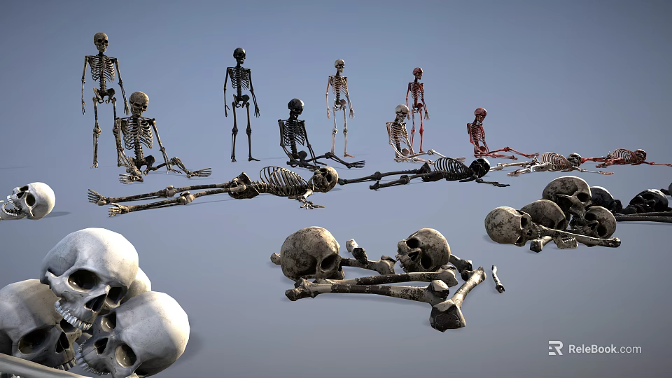 Game Movie Character Undead Skeleton Warrior With Multiple Bones And Skulls 3d model 