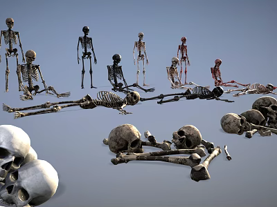 Game Movie Character Undead Skeleton Warrior With Multiple Bones And Skulls 3d model