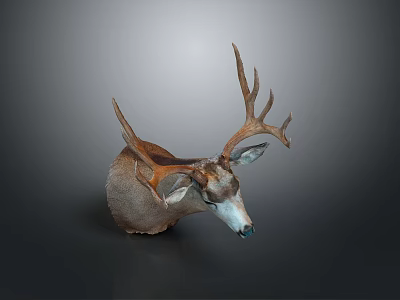 Realistic Deer Head Taxidermy Mount With Brown Antlers For Wall Decor 3d model