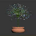 Decorative Potted Plant With Orange Pot And Blue Colorful Small Flowers