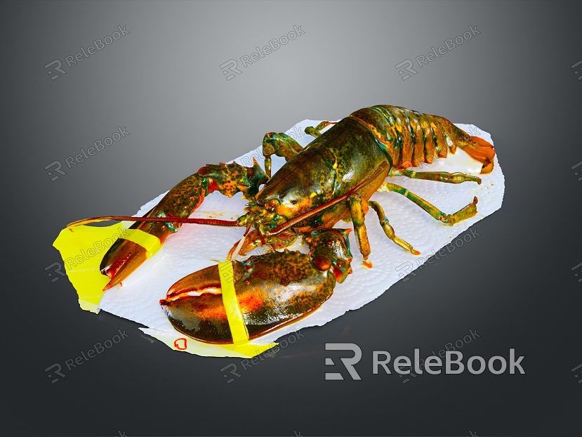 lobster big lobster crystal lobster cartoon lobster marine animal fish freshwater fish marine fish animal model