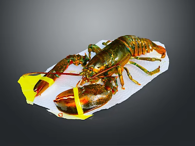 Fresh Lobster With Red Green Shell And Yellow Bands On White Paper 3d model