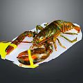 Fresh Lobster With Red Green Shell And Yellow Bands On White Paper