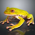 Green Tree Frog With Red Eyes Long Legs And Shiny Skin On Dark Background